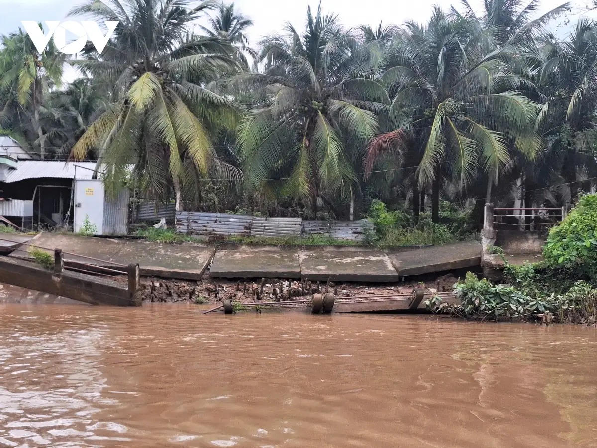 vinh long chi 1.000 ty dong trien khai loat du an chong sat lo, ngan man hinh anh 1